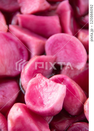 温海かぶ漬け 温海かぶ漬け 120866092