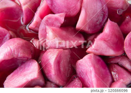 温海かぶ漬け 温海かぶ漬け 120866096