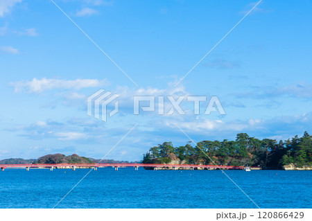 宮城県　日本三景松島 120866429