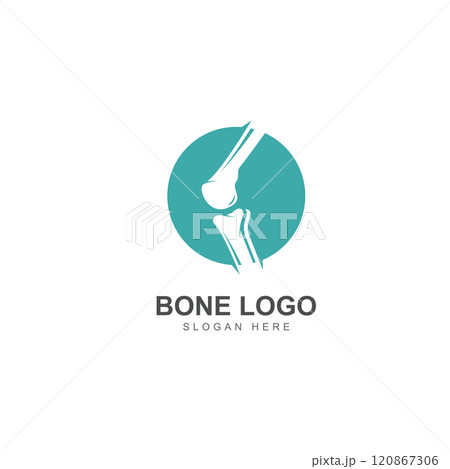 bone logo icon vector design 120867306
