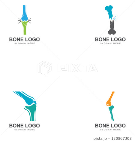 bone logo icon vector design bone logo icon vector design 120867308