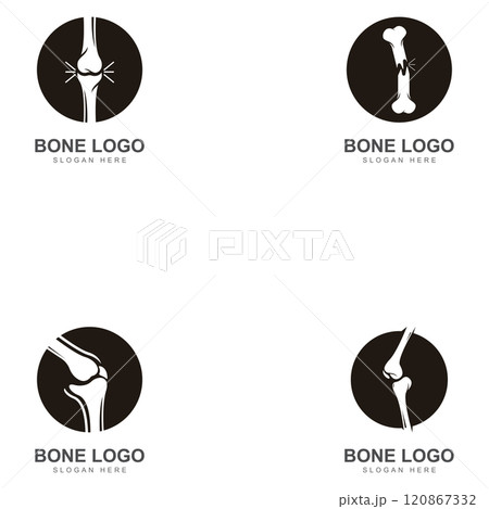 bone logo icon vector design bone logo icon vector design 120867332
