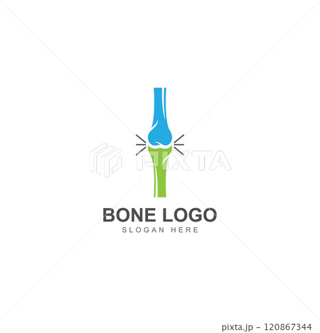 bone logo icon vector design bone logo icon vector design 120867344