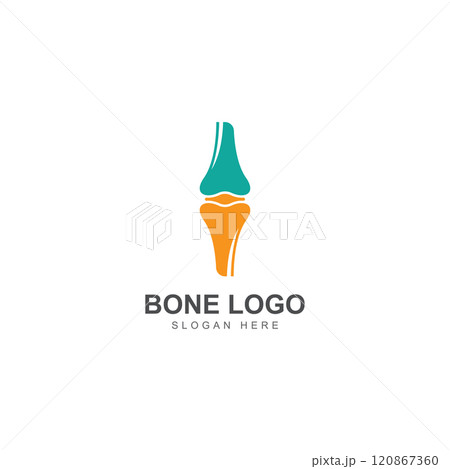 bone logo icon vector design bone logo icon vector design 120867360