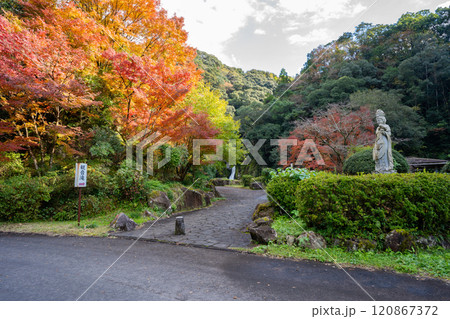 観音滝公園の紅葉の風景（さつま町） 120867372