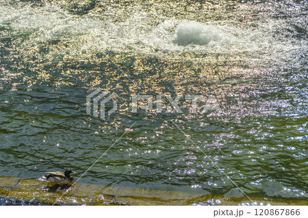 南フランス　ニーム　フォンテーヌ庭園の噴水 120867866