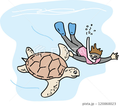 海亀 120868023