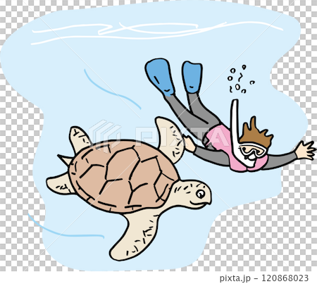 海亀 120868023