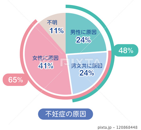 不妊症の原因　割合　グラフ 120868448