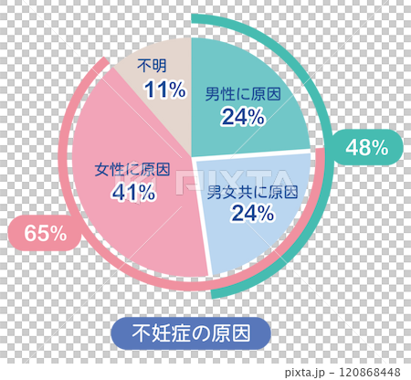 不妊症の原因　割合　グラフ 120868448