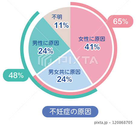 不妊症の原因　割合　グラフ 120868705