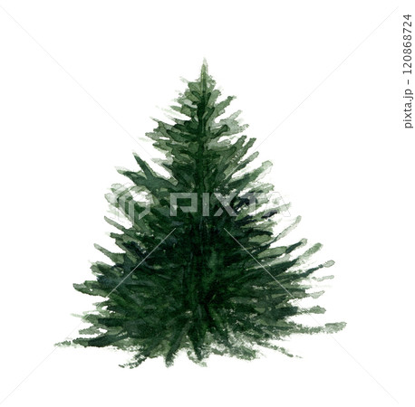 Merry Christmas watercolor illustration, watercolor Christmas tree. 120868724