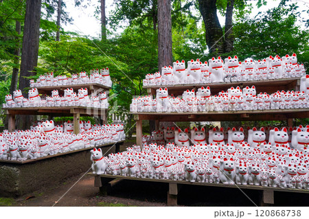 招き猫の豪徳寺（東京都世田谷区） 120868738