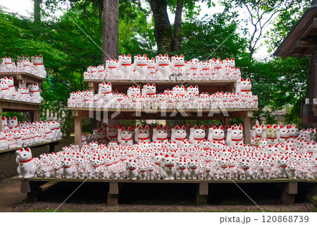 招き猫の豪徳寺(東京都世田谷区) 招き猫の豪徳寺(東京都世田谷区) 120868739