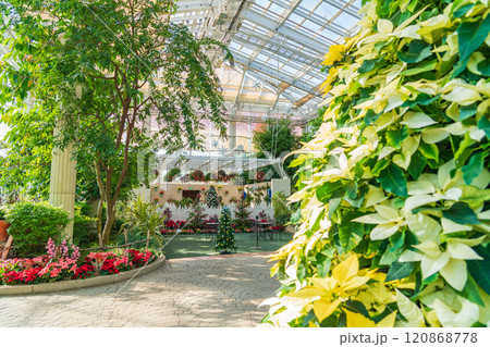 冬のはままつフラワーパーク、クリスマス展示〈静岡県浜松市〉 冬のはままつフラワーパーク、クリスマス展示〈静岡県浜松市〉 120868778
