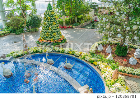 冬のはままつフラワーパーク、クリスマス展示〈静岡県浜松市〉 冬のはままつフラワーパーク、クリスマス展示〈静岡県浜松市〉 120868781