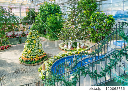 冬のはままつフラワーパーク、クリスマス展示〈静岡県浜松市〉 冬のはままつフラワーパーク、クリスマス展示〈静岡県浜松市〉 120868786