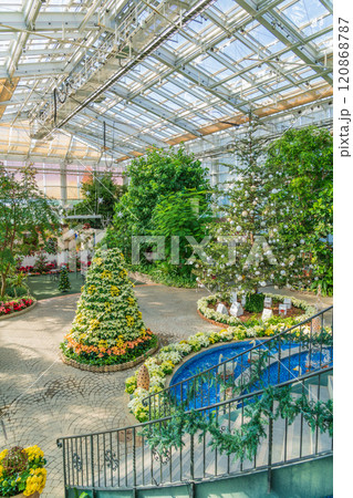 冬のはままつフラワーパーク、クリスマス展示〈静岡県浜松市〉 冬のはままつフラワーパーク、クリスマス展示〈静岡県浜松市〉 120868787