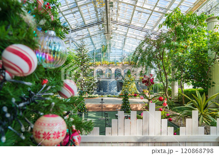 冬のはままつフラワーパーク、クリスマス展示〈静岡県浜松市〉 120868798