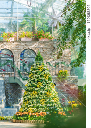 冬のはままつフラワーパーク、クリスマス展示〈静岡県浜松市〉 120868803