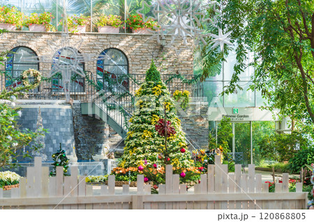 冬のはままつフラワーパーク、クリスマス展示〈静岡県浜松市〉 冬のはままつフラワーパーク、クリスマス展示〈静岡県浜松市〉 120868805