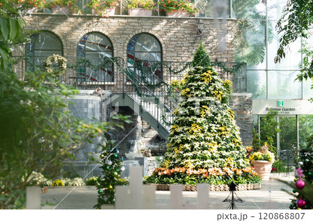 冬のはままつフラワーパーク、クリスマス展示〈静岡県浜松市〉 120868807