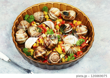 Edible stuffed grape snails, French cuisine. 120869075