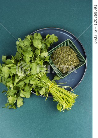 Cilantro herb leaf 120869091