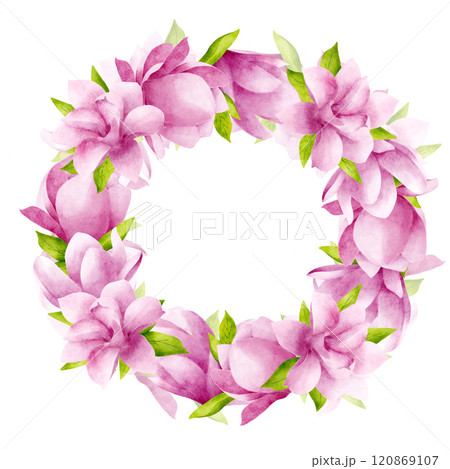 Beautiful magnolias in pink color with leaves. Hand drawn watercolor illustration. Wreath, circle frame on a white background empty for text Beautiful magnolias in pink color with leaves. Hand drawn watercolor illustration. Wreath, circle frame on a white background empty for text 120869107