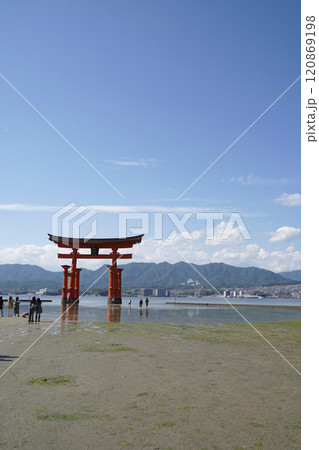 日本の広島県、厳島神社の大鳥居 120869198