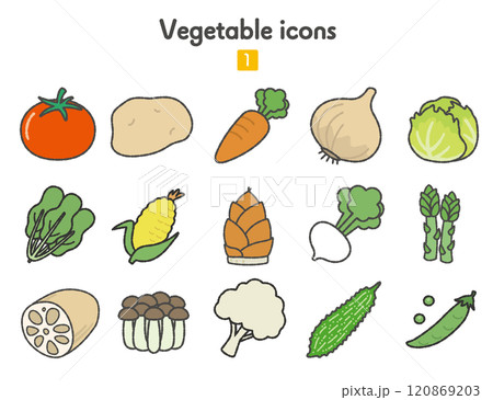 野菜のアイコン集01 カラー 120869203