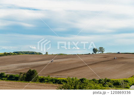 【美瑛町親子の木とトラクター　秋の風景】 120869336