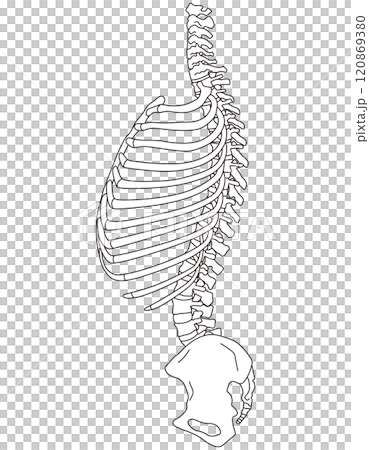 肋骨の開き　反り腰の姿勢 120869380