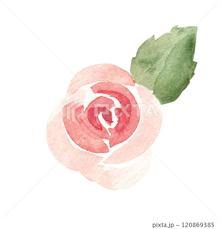 Pink Rose with Leaf. Ala Prima Simple painting. Watercolor abstract Hand drawn Floral illustration isolated on a white background. Flower design element for greeting, Valentine cards or wedding Pink Rose with Leaf. Ala Prima Simple painting. Watercolor abstract Hand drawn Floral illustration isolated on a white background. Flower design element for greeting, Valentine cards or wedding 120869385