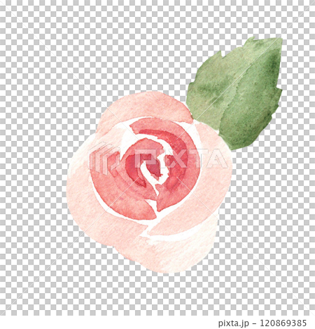 Pink Rose with Leaf. Ala Prima Simple painting. Watercolor abstract Hand drawn Floral illustration isolated on a white background. Flower design element for greeting, Valentine cards or wedding Pink Rose with Leaf. Ala Prima Simple painting. Watercolor abstract Hand drawn Floral illustration isolated on a white background. Flower design element for greeting, Valentine cards or wedding 120869385
