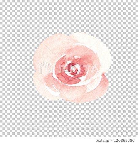Pink Rose, Simple sketch. Watercolor abstract Hand painted Floral illustration isolated on a white background. Flower design element for greeting, Valentine cards or wedding invitations. 120869386
