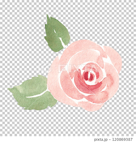 Pink Rose with Leaves in Simple style. Watercolor abstract Hand painted Floral illustration isolated on a white background. Flower design element for greeting, Valentine cards or wedding invitations. Pink Rose with Leaves in Simple style. Watercolor abstract Hand painted Floral illustration isolated on a white background. Flower design element for greeting, Valentine cards or wedding invitations. 120869387