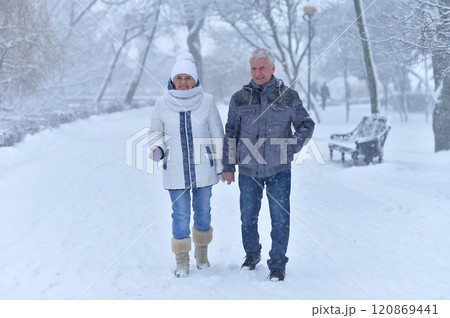 An elderly couple walks in a winter park 120869441