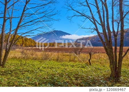 秋の栃木県日光市 奥日光の小田代原西側から東側の男体山方面を見る 秋の栃木県日光市 奥日光の小田代原西側から東側の男体山方面を見る 120869467