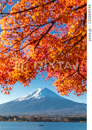 「山梨県」紅葉の河口湖と富士山・秋 120869548