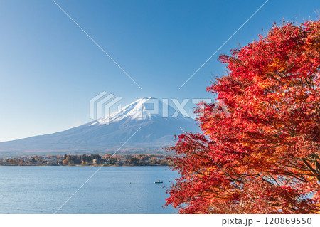 「山梨県」紅葉の河口湖と富士山・秋 120869550