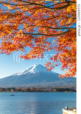 「山梨県」紅葉の河口湖と富士山・秋 120869555
