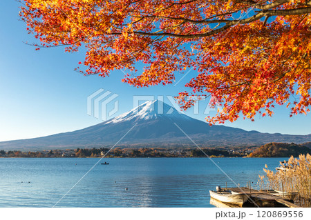 「山梨県」紅葉の河口湖と富士山・秋 「山梨県」紅葉の河口湖と富士山・秋 120869556