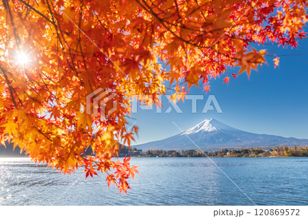 「山梨県」紅葉の河口湖と富士山・秋 120869572