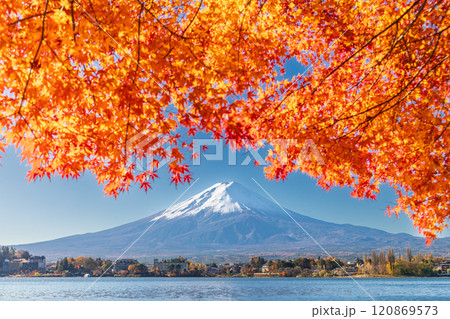 「山梨県」紅葉の河口湖と富士山・秋 120869573