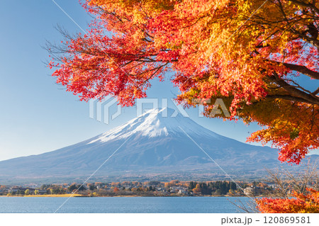 「山梨県」紅葉の河口湖と富士山・秋 120869581