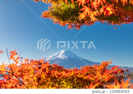 「山梨県」紅葉の河口湖と富士山・秋 「山梨県」紅葉の河口湖と富士山・秋 120869585
