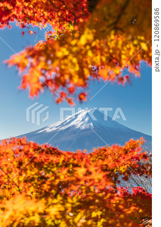 「山梨県」紅葉の河口湖と富士山・秋 120869586