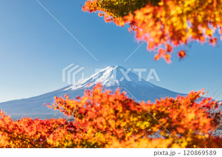 「山梨県」紅葉の河口湖と富士山・秋 「山梨県」紅葉の河口湖と富士山・秋 120869589