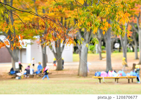 木々の紅葉が美しい公園で遊ぶ幼稚園児たち 木々の紅葉が美しい公園で遊ぶ幼稚園児たち 120870677